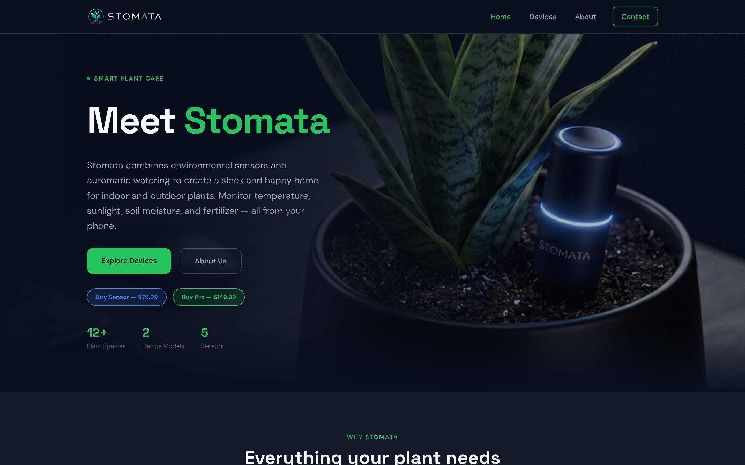 Stomata